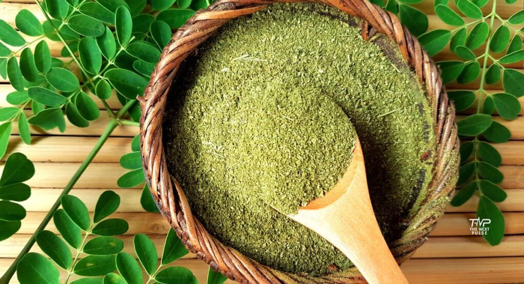 moringa1