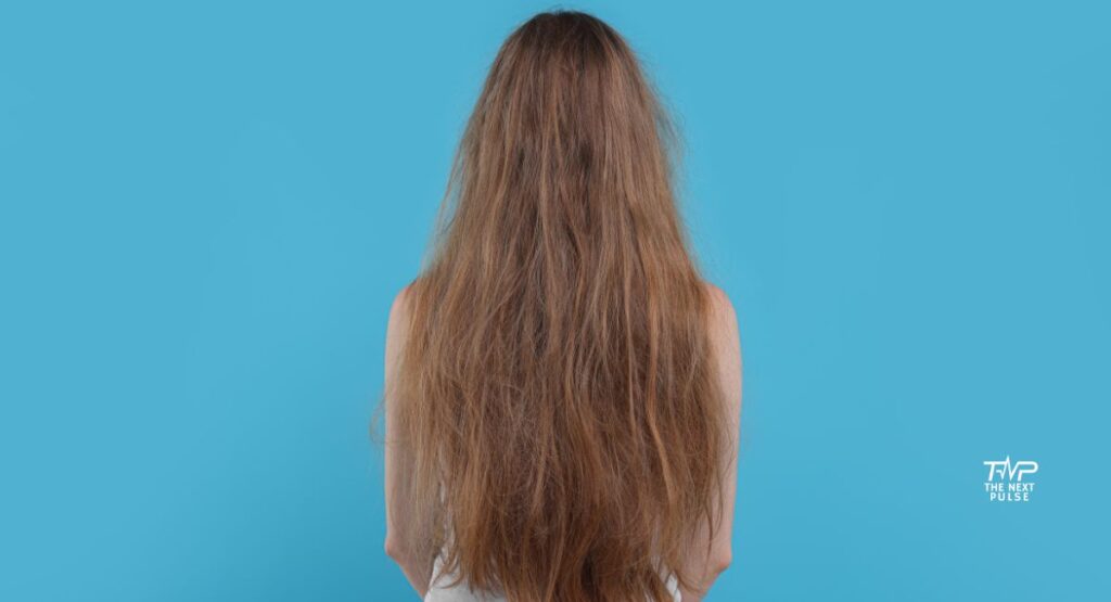 Treat Dry and Frizzy Hair Naturally