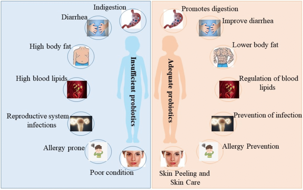 Inside-Out Beauty: How Wellness, Food, Sleep, Hormones, and Stress Shape Your Skin Health Naturally 3 inside-out beauty